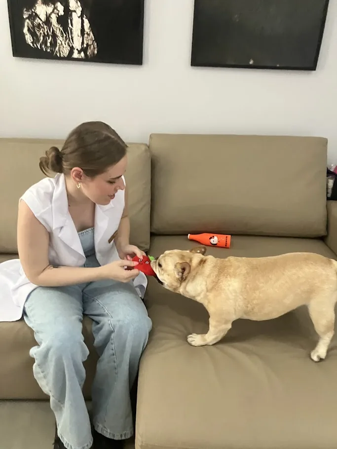 Veterinária realizando check-up preventivo em cão durante consulta domiciliar em Joinville