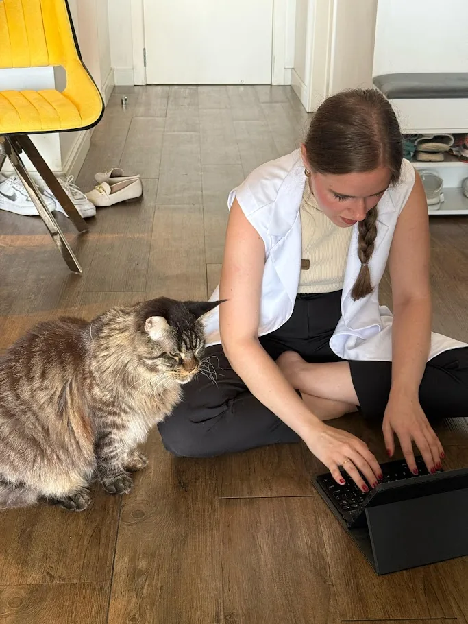 Veterinária avaliando comportamento de gato durante consultoria domiciliar em Joinville