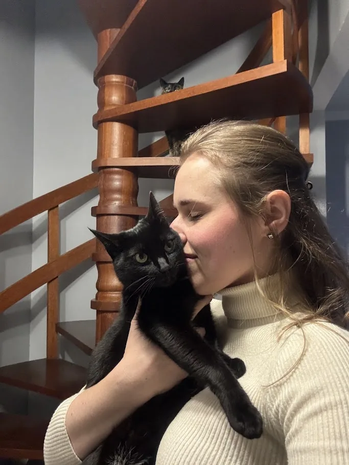 Veterinária com dois gatos durante consultoria de introdução de novo pet em Joinville