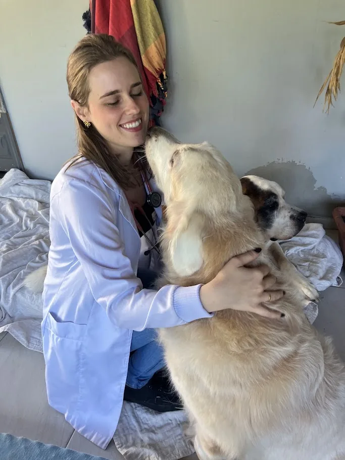 Veterinária acompanhando cão idoso durante atendimento domiciliar em Joinville