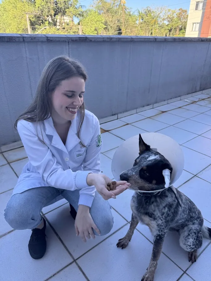 Veterinária preparando vacina para cão durante atendimento domiciliar em Joinville
