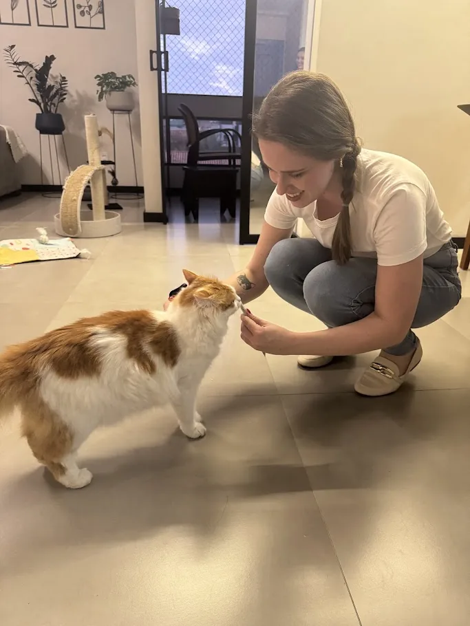 Veterinária oferecendo petisco a gato durante atendimento domiciliar em Joinville